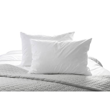 Sobel Westex Medium Pillow & Reviews