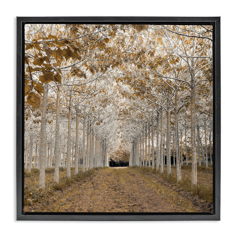 Cadre flottant Birch Grove, design par Assaf Frank, Cadre flottant noir de jais, H 18 po x l 18 po