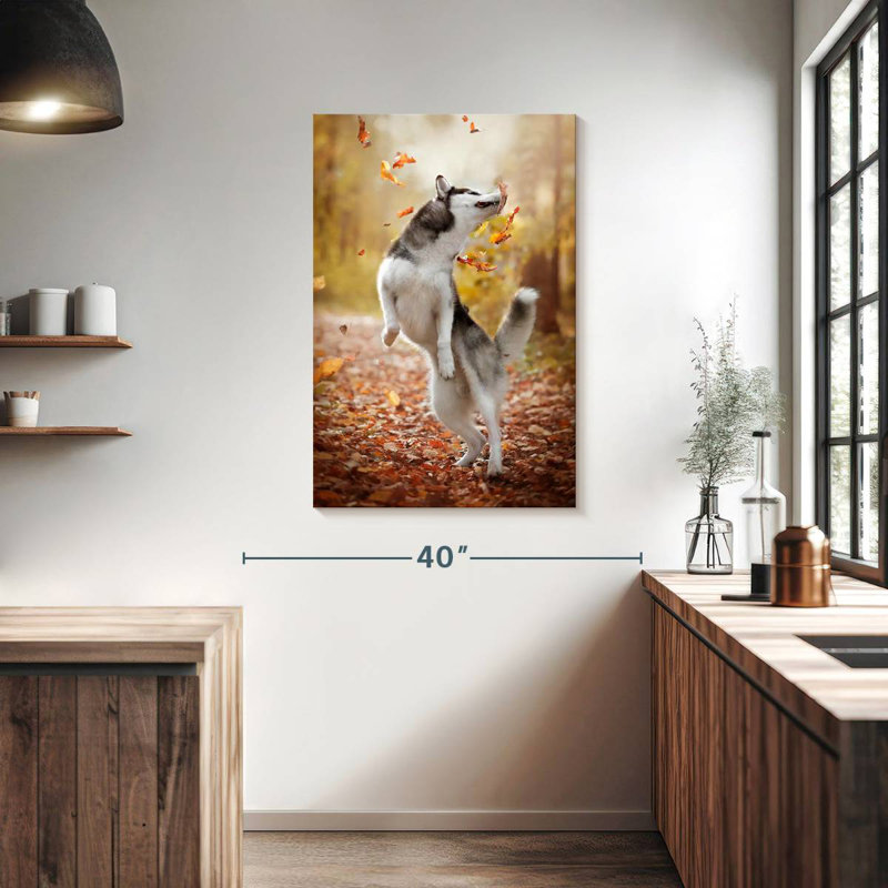 Brampt Autumn Husky Playing, 39" H x 26" W
