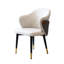 Fauteuil d'appoint en cuir léger et luxueux (ensemble de 2)