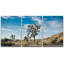 Joshua Tree, désert, parc national, paysage, nature sauvage, photographie, art moderne, rustique-102297545-102297544