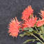 Arrangement floral de marguerite artificielle de 28 po pour remplissage de vase-562558363