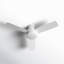 Montego 52'' Ceiling Fan with LED Lights-41137871