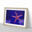 Pink Starfish - Picture Frame Graphic Art Print-55584135-55584136