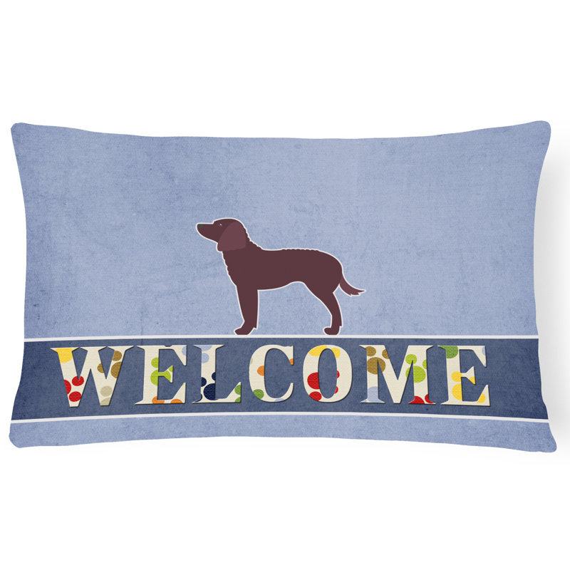  Coussin American Water Spaniel