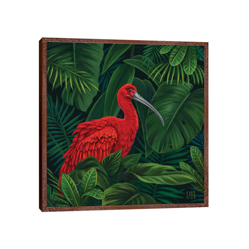Scarlet Ibis by Vasilisa Romanenko - Painting on Canvas, Classic Brown Wood Framed, 66.04cm H x 66.04cm W x 3.81cm D