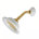 Supercoat Brass