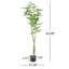 Eucalyptus artificiel en pot-111988975
