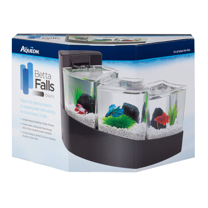 Aquarium Halterman