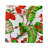 Plumeria Cotton Sateen Cocktail Napkins-122609875