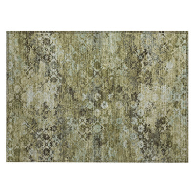 Machine Washable Indoor/Outdoor Chantille ACN2433 Traditional Rug