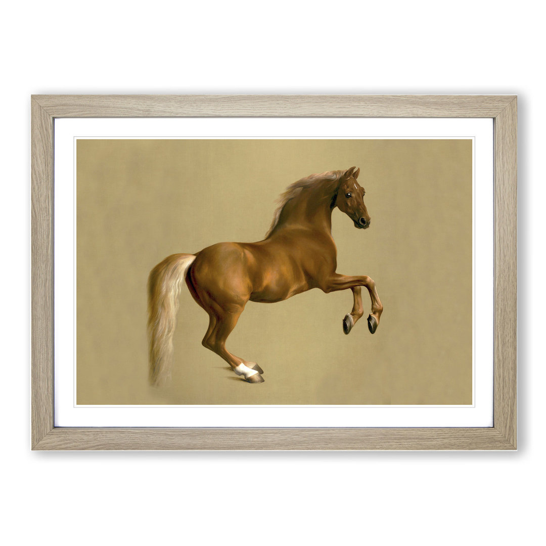 Whistlejacket by George Stubbs - Framed Print