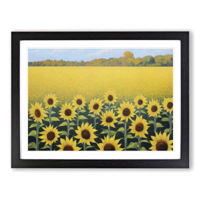 A Phenomenal Sunflower Field - Single Picture Frame Print