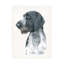 Art mural sur toile Beth Grove-101098274