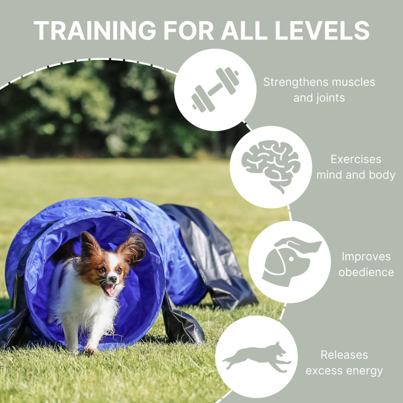 Blue and Black 6.5-ft Dog Agility Training Tunnel