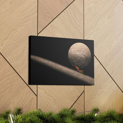 Funny Ant Silly Ant Inside Wall Art