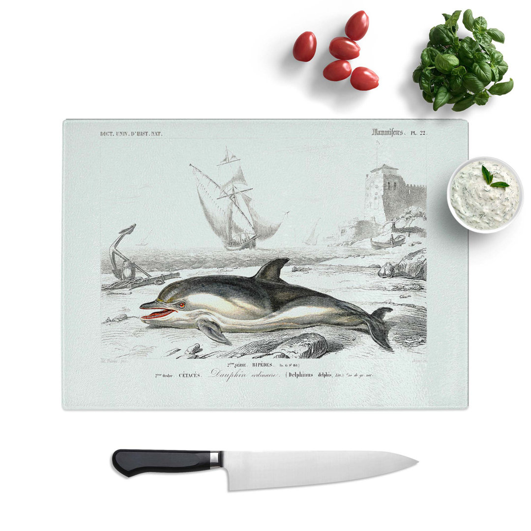 Tempered Glass Beached Dolphin Chopping Board