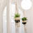 Remy Plant Stand