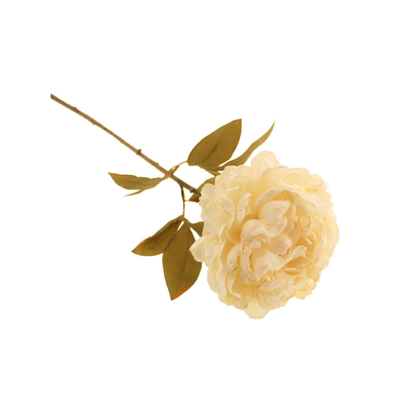 Arrangement, Cream