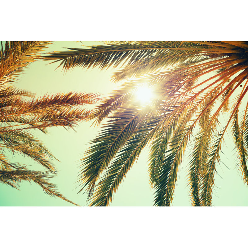 Palm Trees 1 Piece Wrapped Canvas Wall Art, 20cm H x 30cm W x 3.8cm D