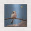  «Song Bird No. 8» par Lucia Heffernan, art mural en métal, 24 po x 24 po-1499686743
