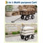 Cart-136254399