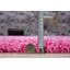 Esterly Pink Shaggy Rug-20009169