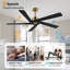 Ventilateur de plafond d'intérieur à 5 pales Baun avec télécommande-1050414124-1027365005-1027365002