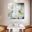 Harnek White Amaryllis II