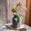 Tige de fleur d'artichaut dans un vase-61797528