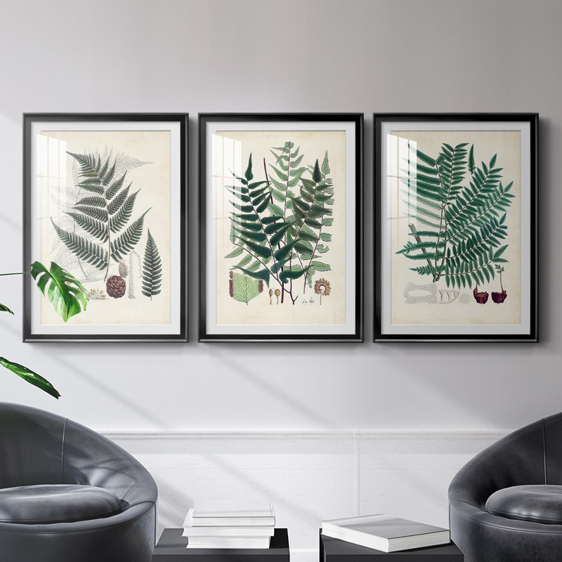 «Ferns VI», reproduction encadrée de qualité supérieure, prête à être accrochée, H 42,5 po x l 61 po x P 2,5 po, Cadre noir