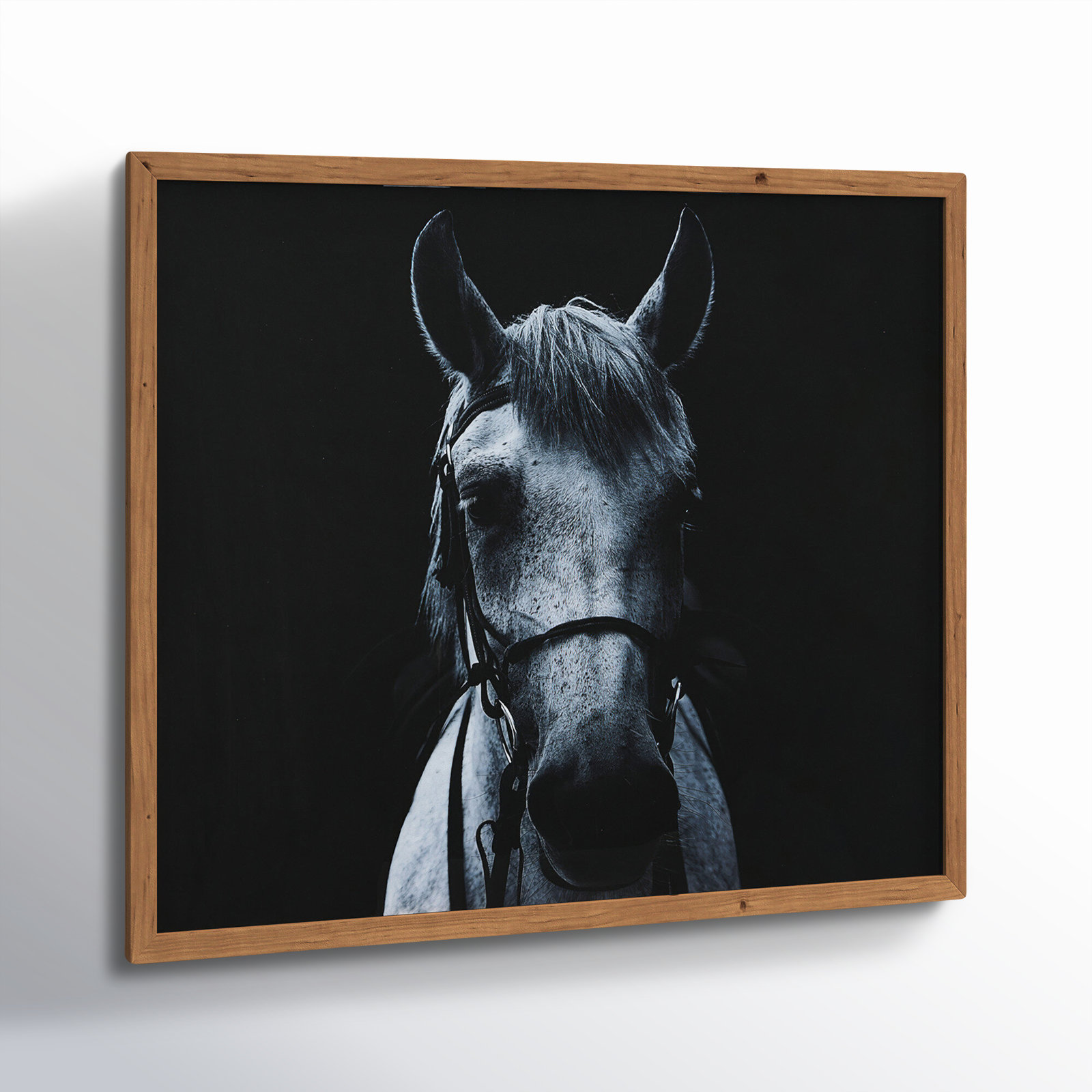 Black and White Equestrian Print