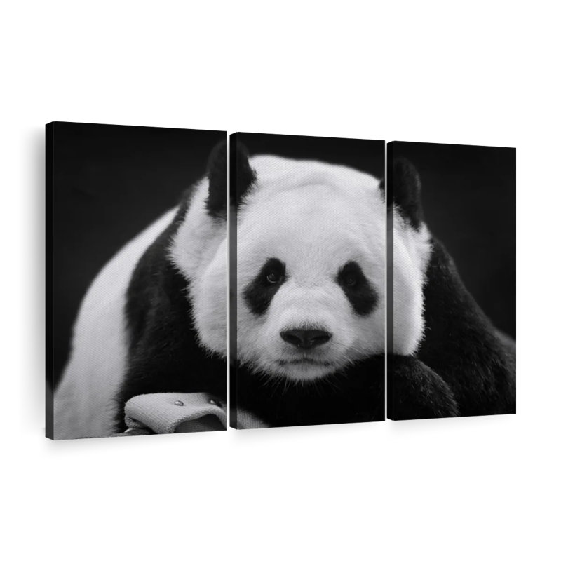 «Panda noir et blanc», 3 pièces sur toile, H 42 po x l 65 po x P 1,25 po