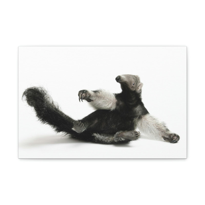 No Frame Print on Canvas, 30.48cm H x 45.72cm W