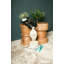 Otsego Stool