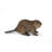 American Beaver Cub Statue