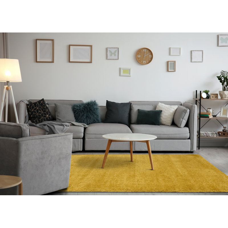 Tapis à poils longs Marakai, Rectangle 3 pi 11 po x 5 pi 11 po
