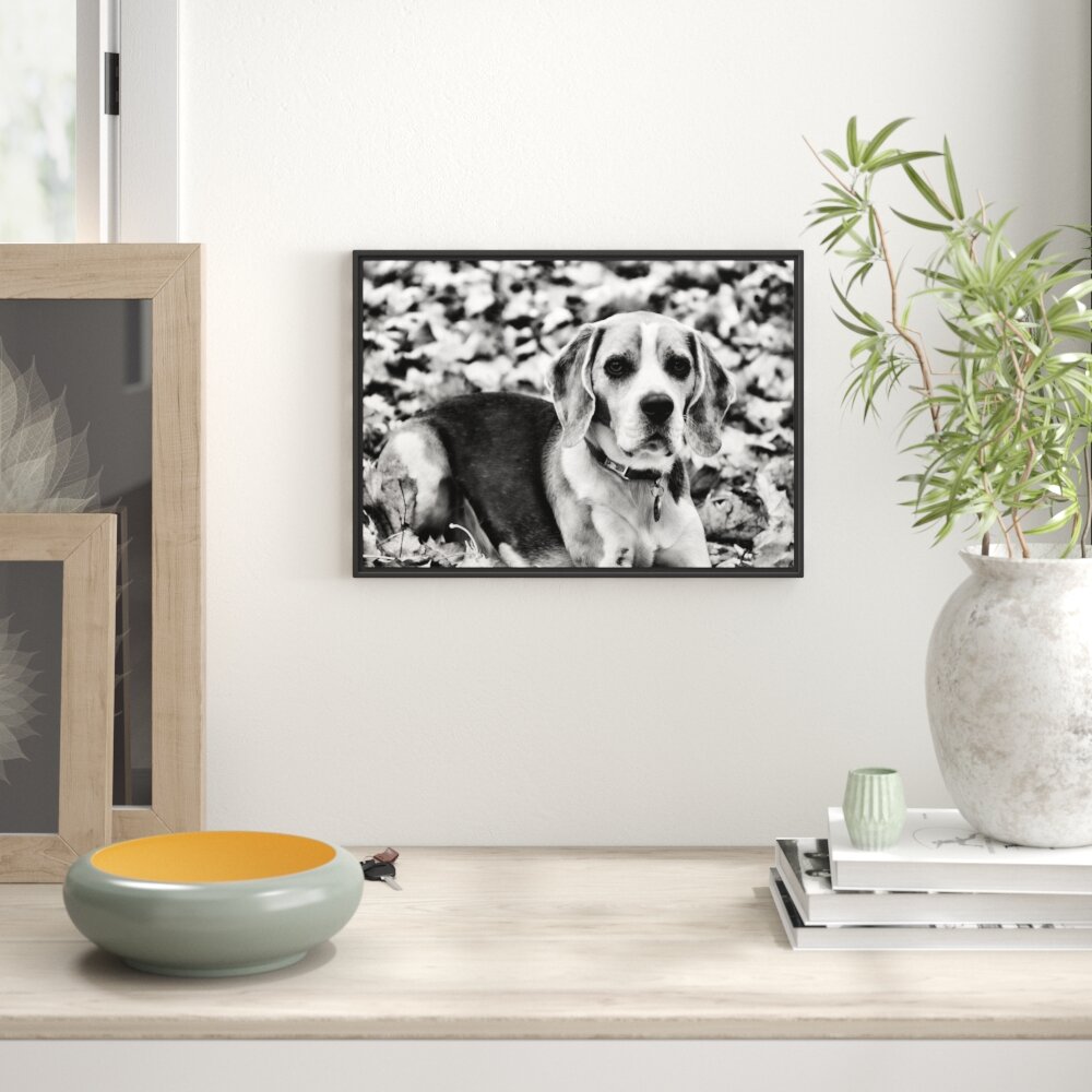 Gerahmtes Wandbild kleiner BeagleLaub