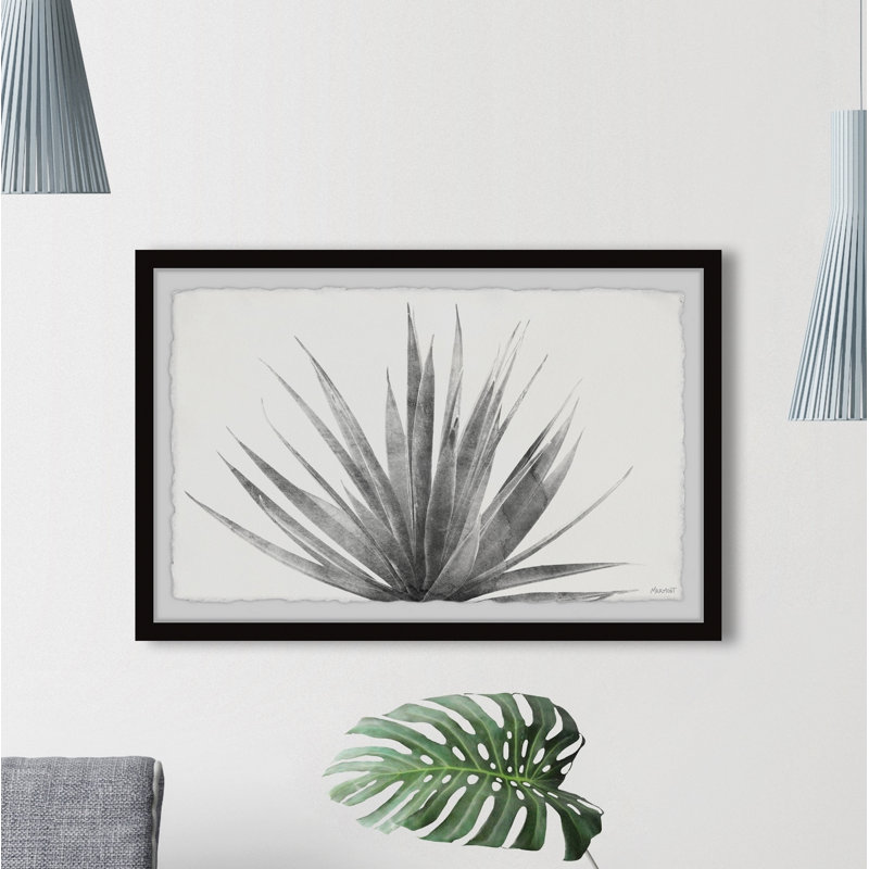 Blue Agave In Grey - Single Picture Frame Print, 38cm H x 45cm W x 3.81cm D