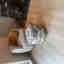 Customer photo 2 of 2
