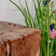 Burruss Solid Wood Accent Stool