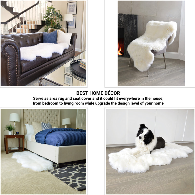 Wrentham Sheepskin Indoor Rug, Novelty 5' x 6'