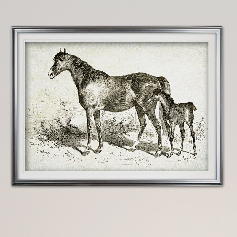 « équin sketch viii », impression, Cadre argenté, H 31 po x l 43 po x P 1,5 po, Blanc mat