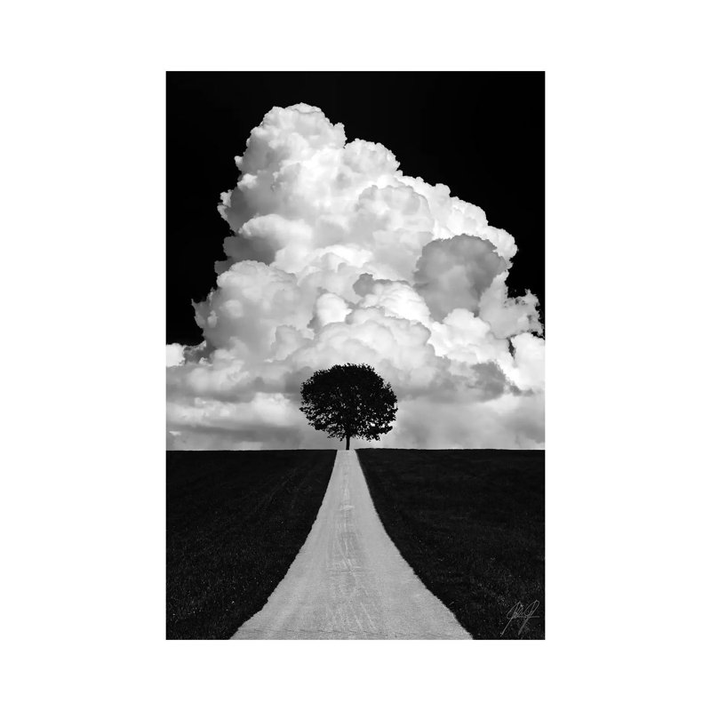 Double Tree by Kathrin Federer - Print on Canvas, Wrapped Canvas, 101.6 cm H x 66.04 cm W x 1.91 cm D