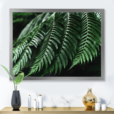 Motif de fougère naturelle parfaite - photographie sur toile