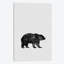 «Bear», impression sur toile-29679547-74404132-74404126