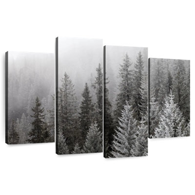 Brume d'hiver Alvord