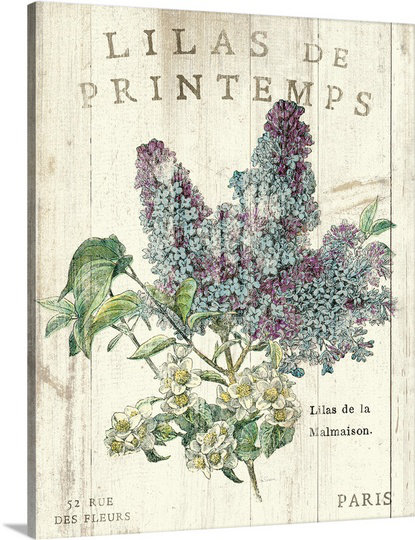 « lilas de printemps » par sue schlabach, impression, H 30 po x l 24 po x p 1,5 po, Toile