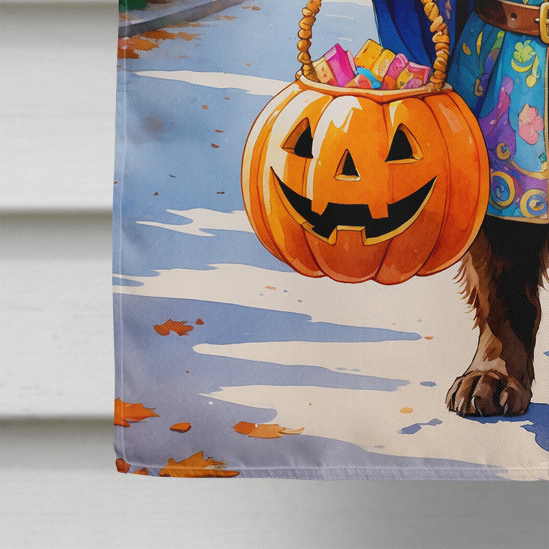 Drapeau de maison Weimaraner, Chocolat Terre-Neuve