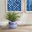 Kensington Blue Ceramic Pot Planter